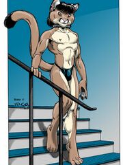 furries