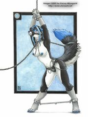 furry yiff
