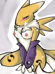 furry herm