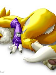 furry herm