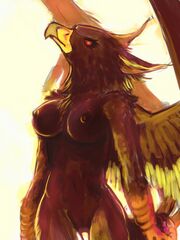 furry herm