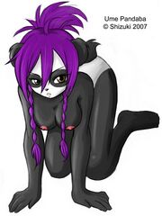 furry herm