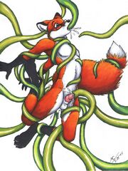 furry herm