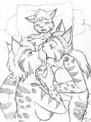 furry herm