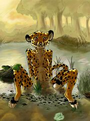 furry sex