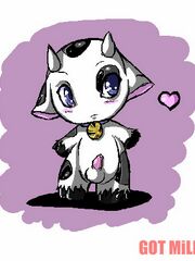 furry herm