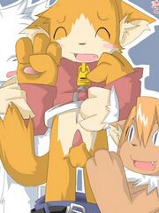 furries