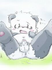 furries xxx
