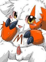 furry yiff