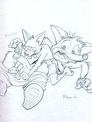 furry sex