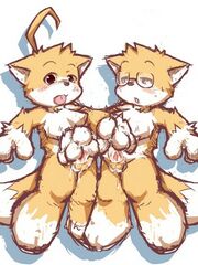 furry herm