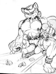 furry sex
