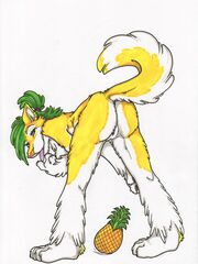 furries