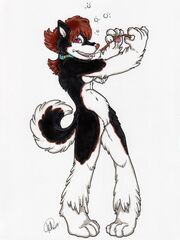 furry herm