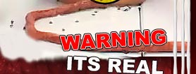 warning real Tentacles Assault