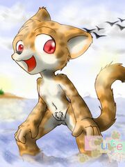furry porn yiff