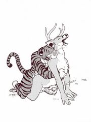 furry porn yiff