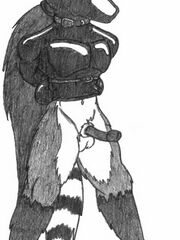 furry porn yiff