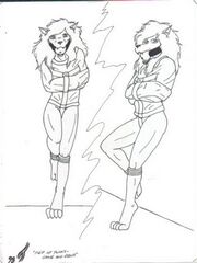 adult sonic furry art