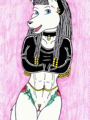 adult sonic furry art