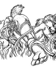 furry porn yiff