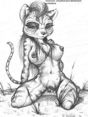 adult sonic furry art