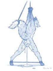adult sonic furry art