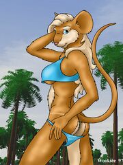furry sex games