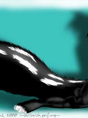 furry porn yiff