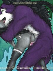 adult sonic furry art