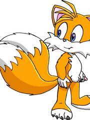 adult sonic furry art