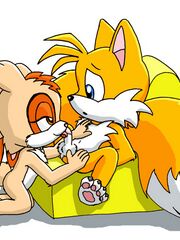 adult sonic furry art