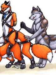 furry sex games