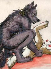 furry porn yiff