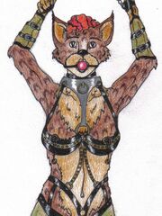 adult sonic furry art