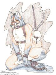 adult sonic furry art