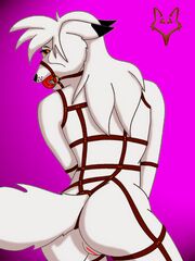 furry sex games