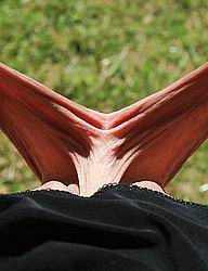 pussylips09.jpg