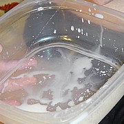 lactation175.jpg