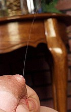 lactation82.jpg