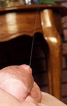 lactation84.jpg