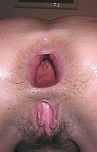 gapers35.jpg