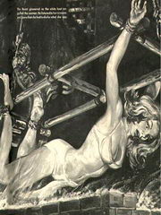 bdsm comics art