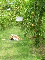 outdoor gf porn