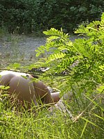 outdoor gf porn