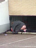 outdoor gf sex
