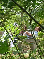 outdoor sex