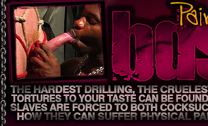 gay bdsm 