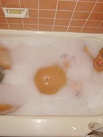 pregnant gf sex
