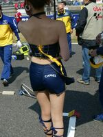 lycra spandex gallery
